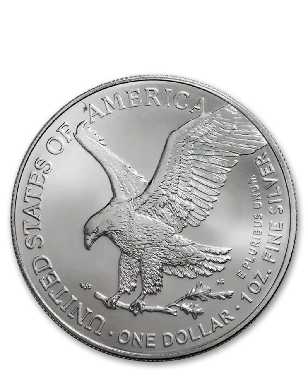 1 Ounce American Silver Eagle (random year)