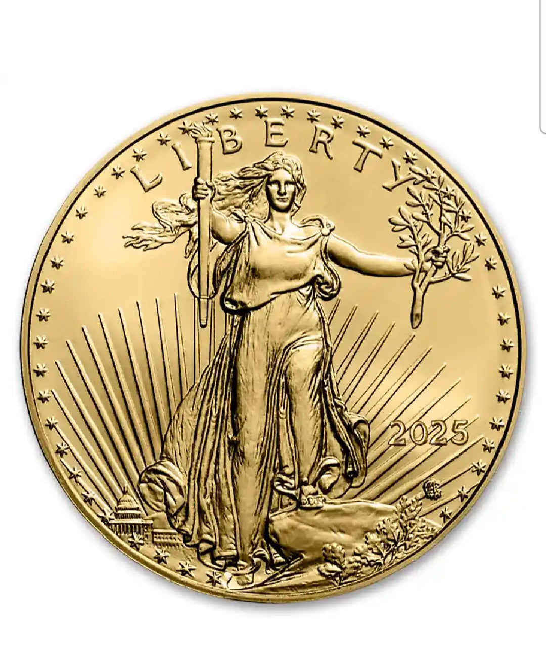 1 Oz Gold American Eagle $50 coin
