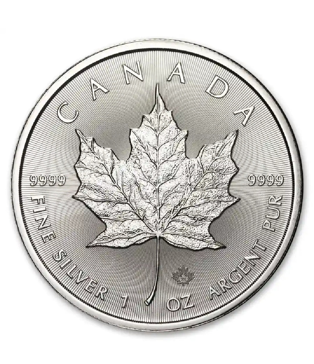 New 2025 1Ounce Silver Maple